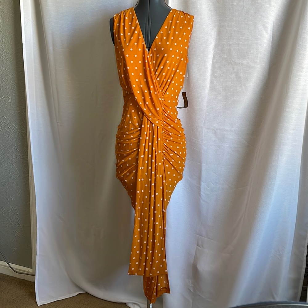 NWT Eva Mendes Dress